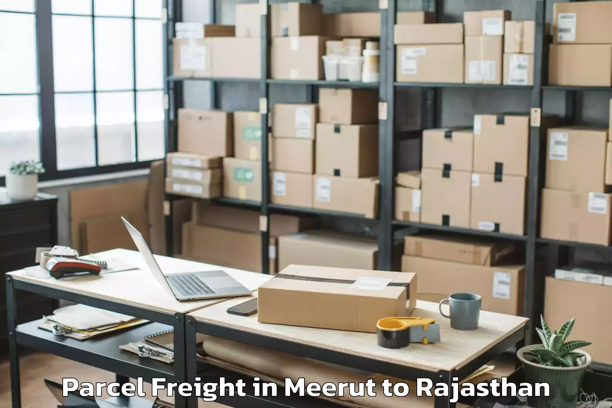 Leading Meerut to Deoli Parcel Freight Provider